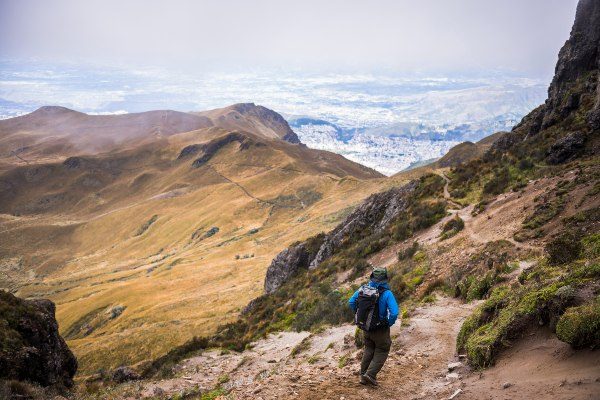 Exploring the Biodiversity of the Ecuadorian Highlands